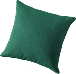 pillow1